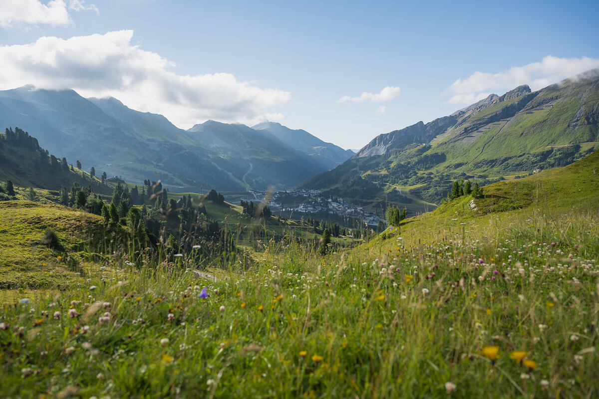 Alpine Landschaft mit Almwiesen und Bergen in Obertauern