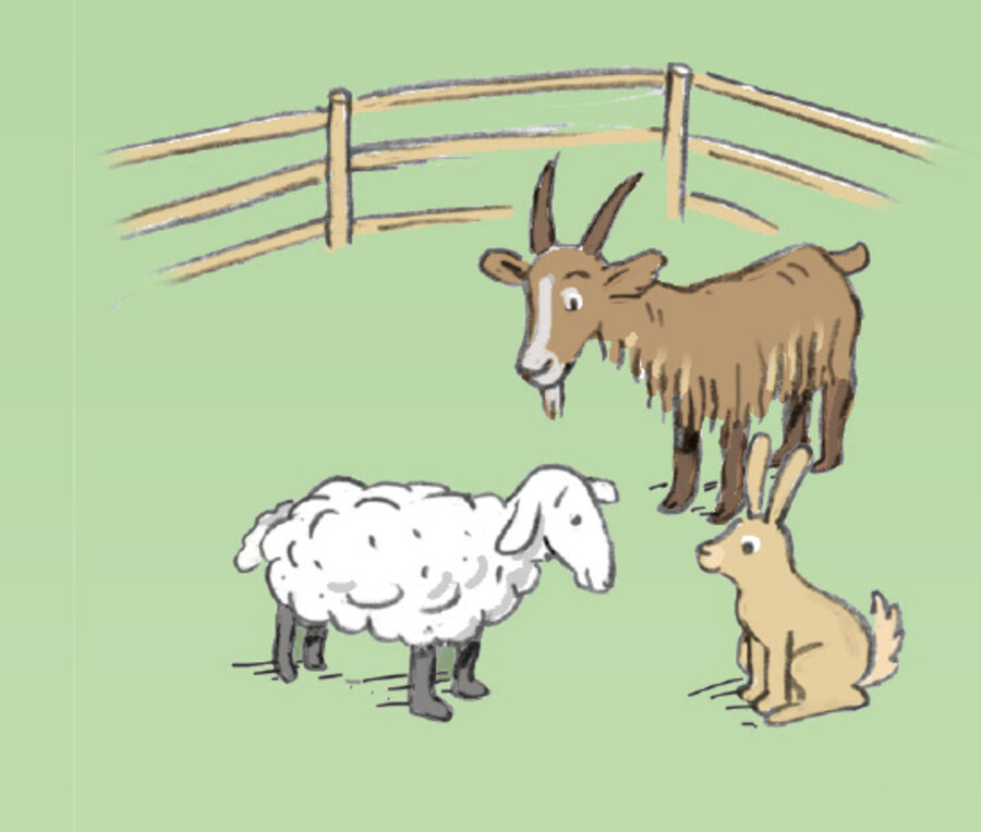 Illustration des Streichelzoos in Bobby’s Erlebniswelt.