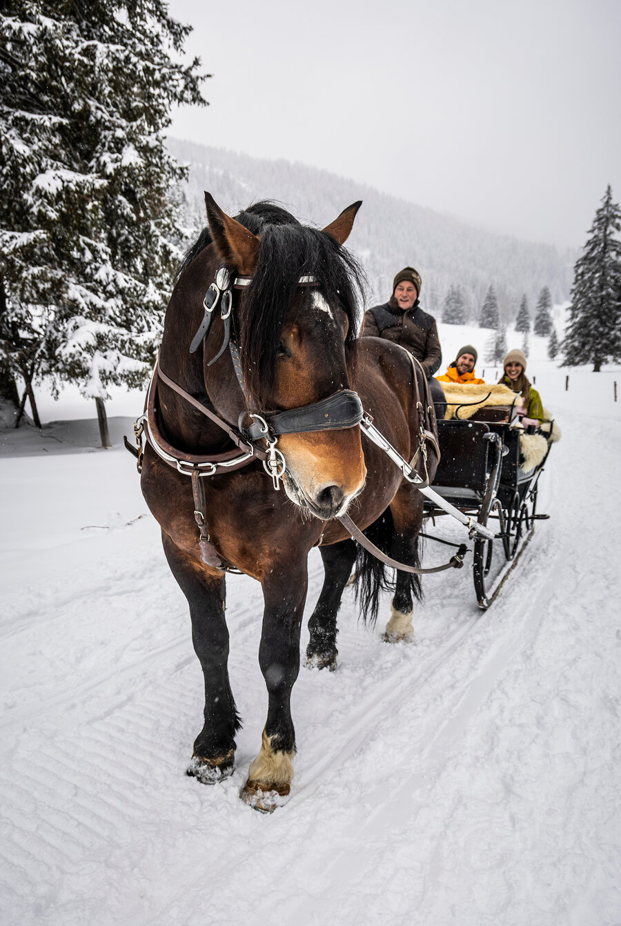 Paar genießt eine Pferdeschlittenfahrt auf der Gnadenalm in Obertauern