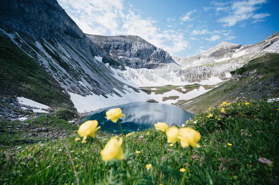 Wildsee in Obertauern mit alpiner Berglandschaft und Blumenwiese